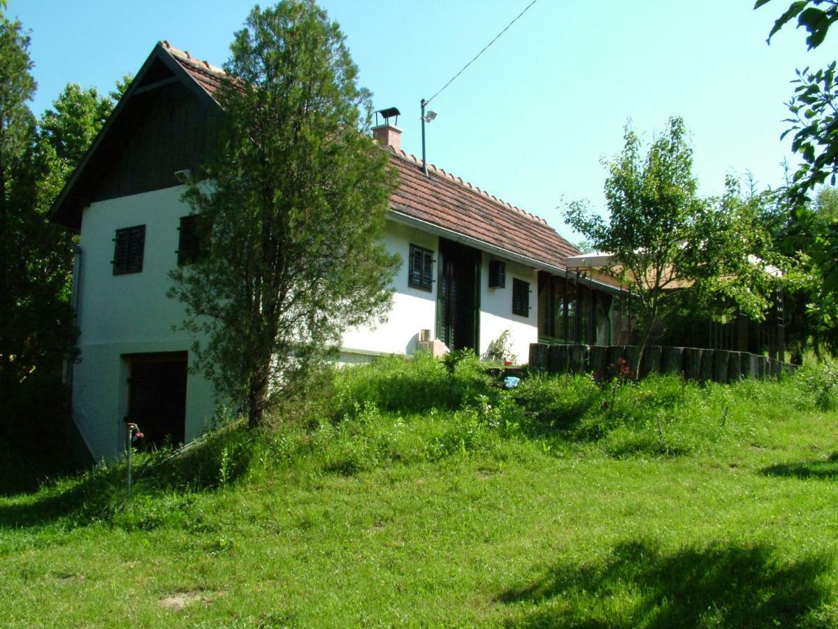 Banya Tanya Zalakaros Villa Exterior foto